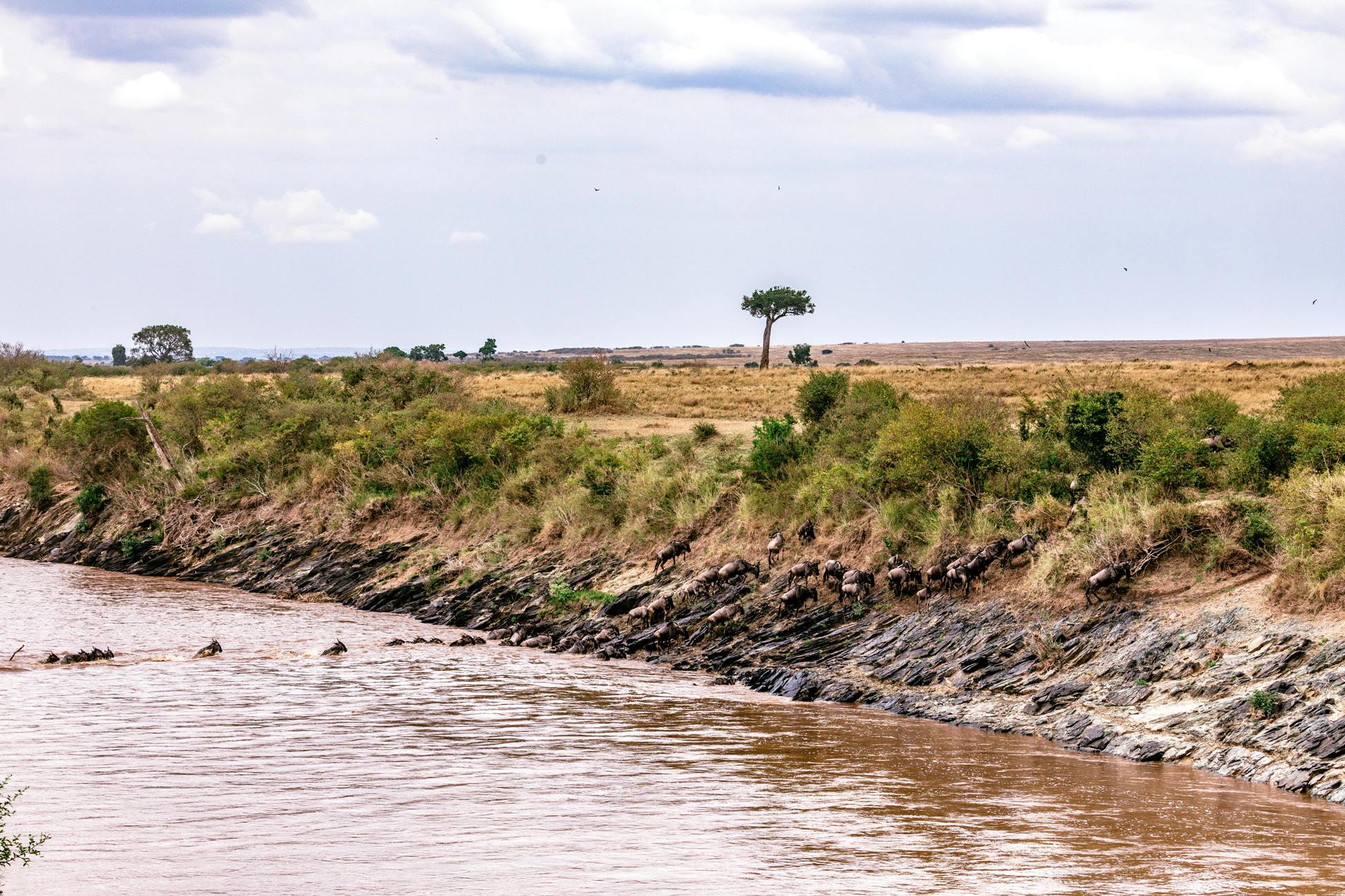 Water & Environment